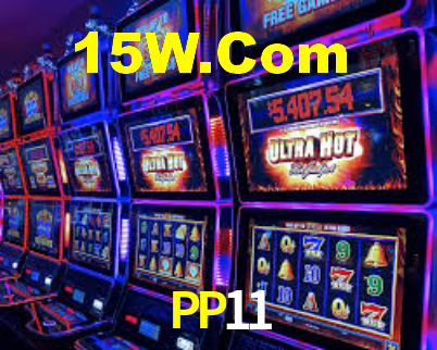 Premium Interface PP11