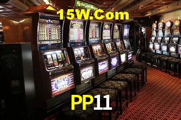 Security Systems PP11
